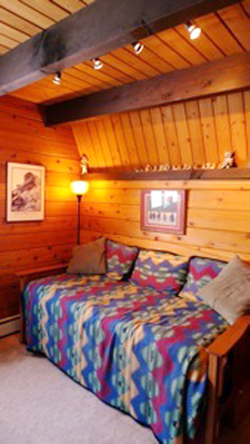 custom-home-den