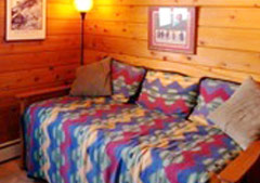 Custom Home Den